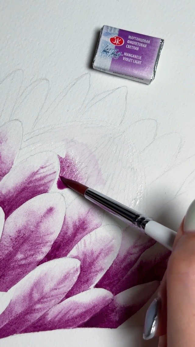 Amazon.com: White Nights Extra Fine Artists Grade Professional